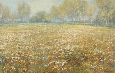 Pradera en flor de Egbert Schaap