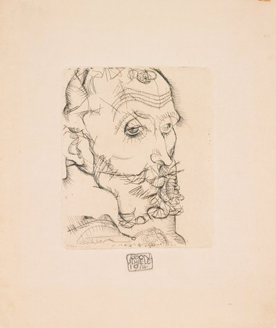 Retrato de Franz Hauer de Egon Schiele