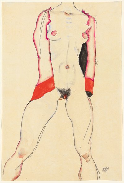 Torso femenino de Egon Schiele