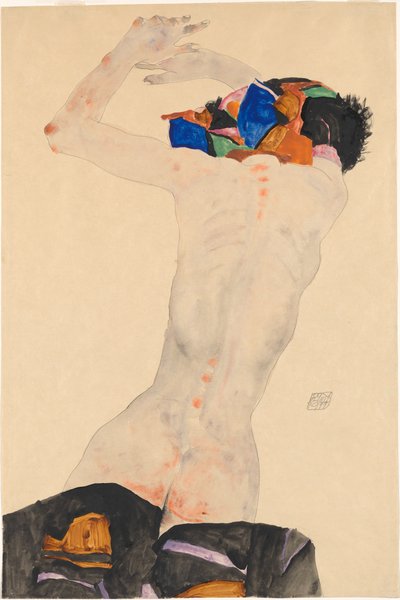 Desnudo de espaldas con un paño de colores, 1911 de Egon Schiele