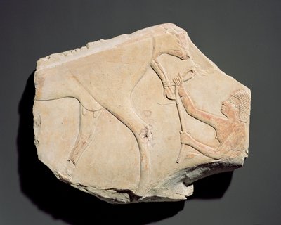 Fragmento de un relieve que representa el nacimiento de un ternero, de Asasif, Tebas, Tercer Periodo Intermedio (c.1069-664 a.C.) (caliza) de Egyptian