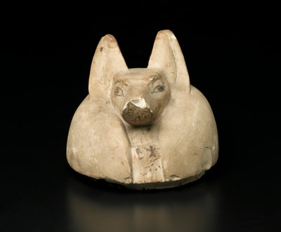 Tapa de jarro canopo con cabeza de chacal de Egyptian