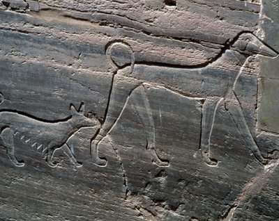 Pareja de perros, relieve de la entrada, Tumba de Sarenput II, Tumbas de los Príncipes, Qubbet el-Hawa, orilla oeste del Nilo en Asuán, Civilización egipcia, Reino Medio, Dinastía XII de Egyptian 12th Dynasty