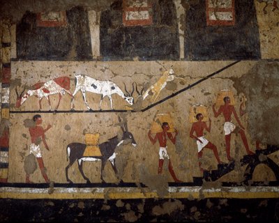 Antigüedad egipcia: el transporte de trigo en la espalda de mulas y en la espalda de esclavos. Fresco de la tumba de la Reina Neferou III. XII dinastía. 2200-2000 a.C. De El Ghebelen. Turín, Museo Egipcio de Egyptian 12th Dynasty