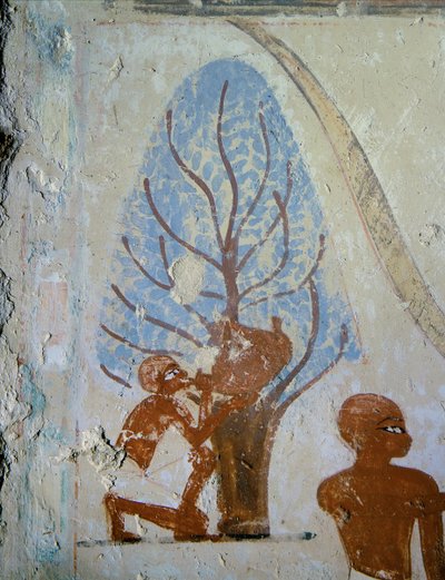  de Egyptian 18th Dynasty