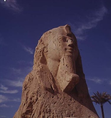 Esfinge de alabastro, Reino Nuevo, probablemente del reinado de Amenhotep II, c.1450-1425 a.C. de Egyptian 18th Dynasty