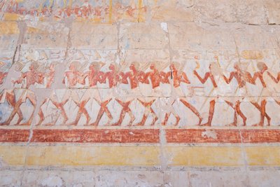 Talla en bajorrelieve del viaje de Hatshepsut a la tierra de Punt (Somalia), templo de Hatshepsut de Deir Al Bahari, Luxor, Egipto (foto) de Egyptian 18th Dynasty