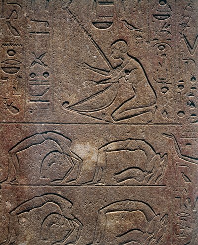 Celebraciones con arpista y acróbatas, relieve, Capilla Roja de Hatshepsut, reconstrucción expuesta en el Museo de Karnak, Civilización egipcia, Reino Nuevo, Dinastía XVIII de Egyptian 18th Dynasty