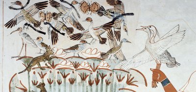 Patos, nidos, mariposas, gatos y roedores, detalle de la escena de caza y pesca en los pantanos, fresco, pared norte, cámara longitudinal, Tumba Tebana TT69, Sheikh Abd el-Qurna, Tebas. Civilización egipcia, Reino Nuevo, Dinastía XVIII. de Egyptian 18th Dynasty