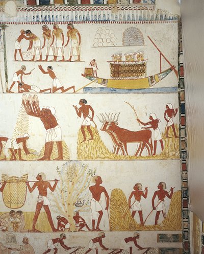 Egipto, Tebas, Luxor, Sheikh 