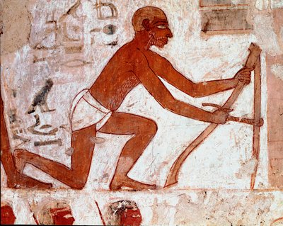 Arte egipcio: Tumba de Rekhmire de Egyptian 18th Dynasty