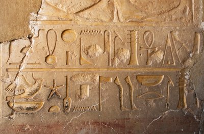 Antigüedad egipcia: detalle de una inscripción con cartucho y jeroglíficos que representan larga vida y prosperidad. Templo dedicado a la reina Hatshepsut (1479 a.C. - 1457 a.C.) Deir el Bahari, Egipto de Egyptian 18th Dynasty