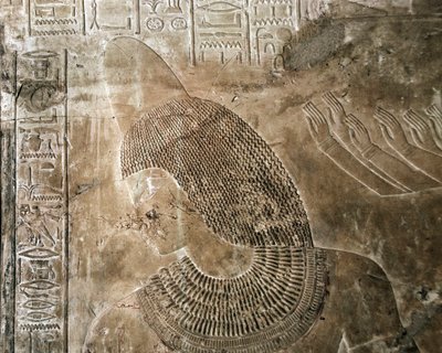Antigüedad egipcia: relieve de la tumba de Kha em Het (Khaemhat) inspector de graneros y escriba en la corte de Amenofis III (TT57) que representa a un personaje con un cono. 18ª dinastía. 1530-1290 a.C. Valle de los Nobles. Luxor, orilla oeste, Egipto de Egyptian 18th Dynasty