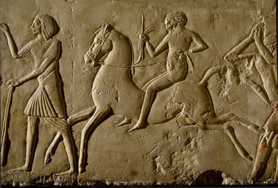Antigüedad egipcia: "guerrero a caballo". Relieve de una tumba de un alto dignatario. 1354-1346 a.C. Dinastía XVIII. Bolonia, Museo Arqueológico Cívico de Egyptian 18th Dynasty