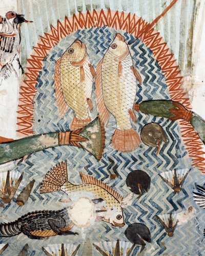 Peces, detalle de la escena de caza y pesca en los pantanos, fresco, pared norte, cámara longitudinal, Tumba Tebana TT69, Sheikh Abd el-Qurna, Tebas (Lista del Patrimonio Mundial de la Unesco) de Egyptian 18th Dynasty