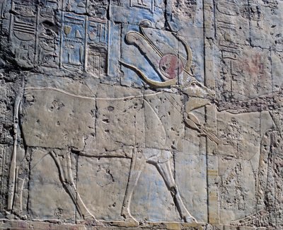 Diosa Hathor en forma de vaca sagrada, relieve pintado, Capilla de Hathor, Templo mortuorio de la reina Hatshepsut, también conocido como Djeser-Djeseru, Deir el-Bahri, Tebas (Lista del Patrimonio Mundial de la Unesco de Egyptian 18th Dynasty