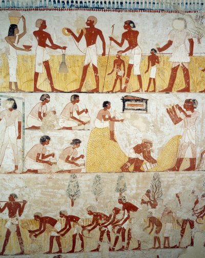 Cosecha, trilla y aventado de grano (detalle) de Egyptian 18th Dynasty