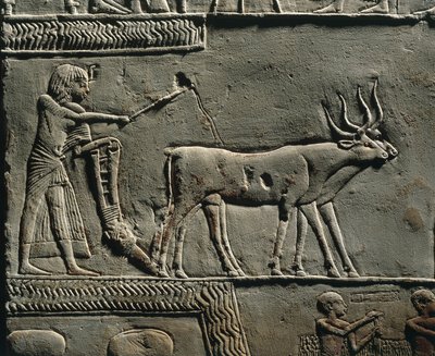 Horemheb arando la tierra en los Campos de Iaru. Relieve de la tumba de Horemheb en Saqqara, detalle. de Egyptian 18th Dynasty
