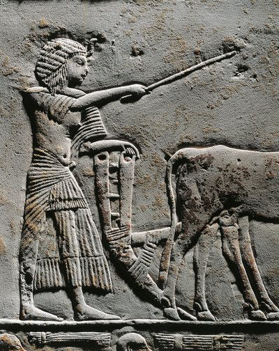 Horemheb arando la tierra en los Campos de Iaru, relieve de la tumba de Horemheb en Saqqara, detalle de Egyptian 18th Dynasty
