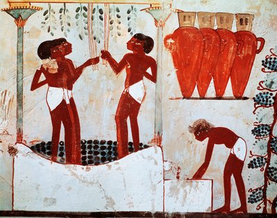 Ilustración de la vida rural diaria: desplumando aves y cosechando uvas, de la tumba de Nakht en Tebas de Egyptian 18th Dynasty