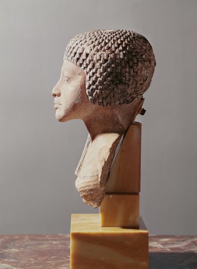 Perfil izquierdo de la cabeza de una princesa de la familia de Akhenaten, Nuevo Reino (detalle) de Egyptian 18th Dynasty
