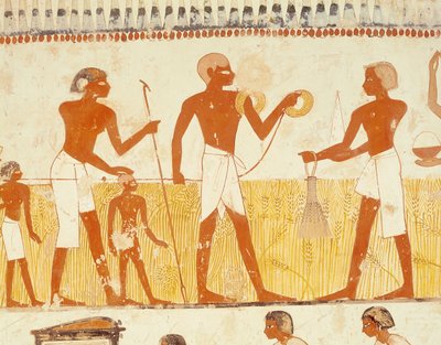 Midiendo la tierra usando cuerda, de la Capilla de la Tumba de Menna, Nuevo Reino de Egyptian 18th Dynasty