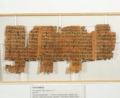 Receta médica escrita en papiro de Egyptian 18th Dynasty