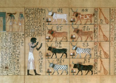 Papiro que representa bueyes, del Libro de los Muertos de Maiherperi de Egyptian 18th Dynasty