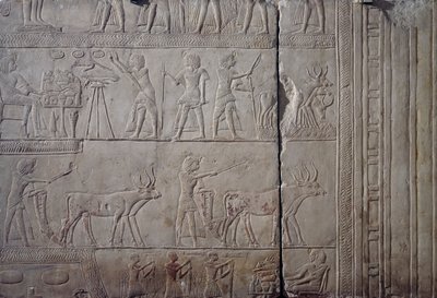 Faraón Horemheb, representado mientras realiza labores agrícolas en los campos de Iaru, recibiendo la cosecha ofrecida por los campesinos, relieve mural en piedra caliza, procedente de la Tumba Menfita de Horemheb en Saqqara, Civilización egipcia, Reino Nu de Egyptian 18th Dynasty