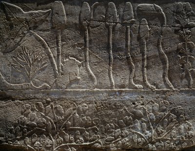 Plantas traídas de la expedición de Tutmosis III a Siria en 1465 a.C., detalle del relieve, sala conocida como el llamado Jardín Botánico, Templo de Amón, Complejo del Templo de Karnak, Civilización egipcia, Reino Nuevo, Dinastía XVIII de Egyptian 18th Dynasty