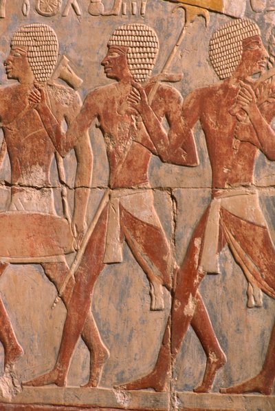 Relieve que representa un desfile en honor a la diosa Hathor (detalle), del Templo Mortuorio de Hatshepsut (c.1503-1482 a.C.) de Egyptian 18th Dynasty