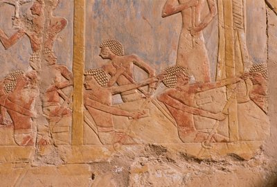 Relieve que representa a hombres remando en un bote (detalle), del Templo Mortuorio de Hatshepsut (c.1503-1482 a.C.) de Egyptian 18th Dynasty