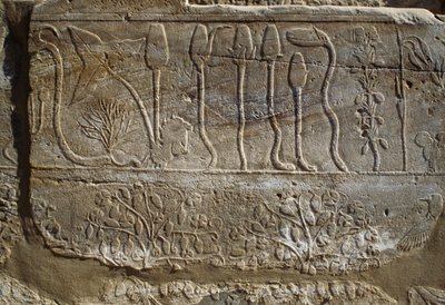 Relieve de animales y plantas ofrecidos a Amón por Tutmosis III a su regreso de la campaña de Siria en 1465 a.C., Sala del Jardín Botánico, Karnak, Necrópolis Tebana, Luxor, Egipto, Reino Nuevo, Dinastía XVIII de Egyptian 18th Dynasty
