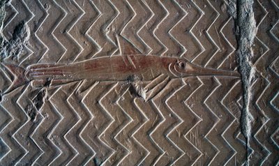 Representación de peces, escenas del Reino de Punt, muro sur de la columnata central, Templo Mortuorio de Hatshepsut, Deir el-Bahari, Luxor, Tebas (Lista del Patrimonio Mundial de la Unesco de Egyptian 18th Dynasty