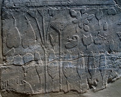 Representaciones de plantas y animales traídas de Siria por Tutmosis III en 1465 a.C., detalle del relieve, sala conocida como Jardín Botánico, complejo del templo de Karnak (Lista del Patrimonio Mundial de la Unesco de Egyptian 18th Dynasty