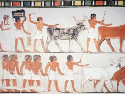 Pastores y ganado, fresco, pared sur, cámara longitudinal, Tumba tebana TT69, Jeque Abd el-Qurna, Tebas (Lista del Patrimonio Mundial de la Unesco de Egyptian 18th Dynasty