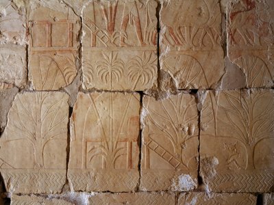 Vegetación, detalle de escena que representa la expedición al País de Punt, relieve pintado, Columnata de Punt, Templo mortuorio de Hatshepsut, Deir el-Bahari, Necrópolis tebana (Lista del Patrimonio Mundial de la Unesco de Egyptian 18th Dynasty