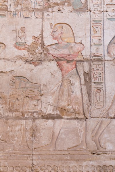 Relieves murales, gran sala hipóstila, complejo del templo de Karnak, Luxor, Egipto de Egyptian 18th Dynasty