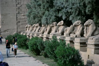 Avenida de esfinges con cabeza de carnero que bordean el Camino Procesional al Gran Templo de Amón, Reino Nuevo de Egyptian 19th Dynasty