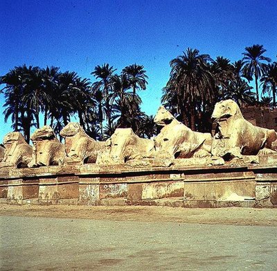 Avenida de esfinges con cabeza de carnero que bordean el Camino Procesional al Gran Templo de Amón, Reino Nuevo de Egyptian 19th Dynasty