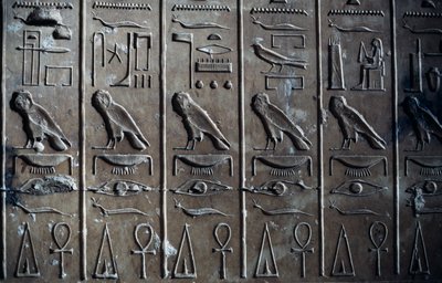 Bajorrelieve con relieves jeroglíficos que representan al dios Horus en forma de halcón y anj, símbolo de la vida, Templo de Seti I, o Gran Templo de Abidos, Abidos, Egipto, Civilización egipcia, Reino Nuevo, Dinastía XIX de Egyptian 19th Dynasty