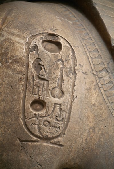 Cartela en el brazo, grabado del Coloso de Ramsés II, Menfis (Lista del Patrimonio Mundial de la UNESCO de Egyptian 19th Dynasty