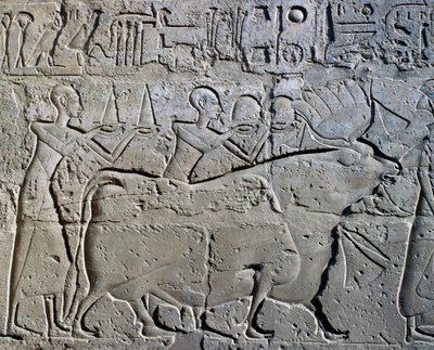 Personajes que simbolizan los distritos mineros trayendo sus tributos al dios, relieve, Patio de Ramsés II, Templo de Amón (Lista del Patrimonio Mundial de la Unesco de Egyptian 19th Dynasty