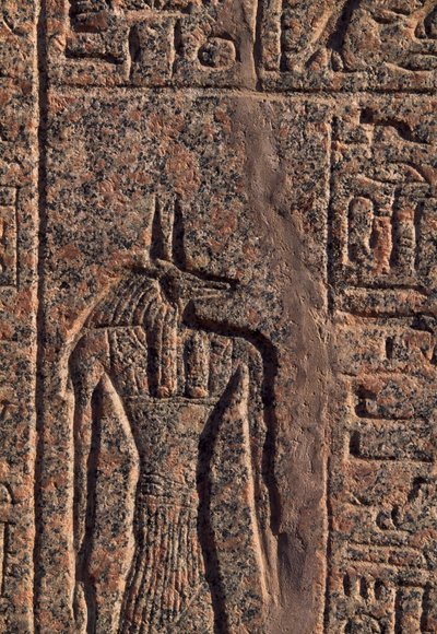 Representación de Anubis, detalle de inscripción y relieve de Anubis y otro dios, sarcófago de Amenhotep, Menfis (Lista del Patrimonio Mundial de la Unesco de Egyptian 19th Dynasty