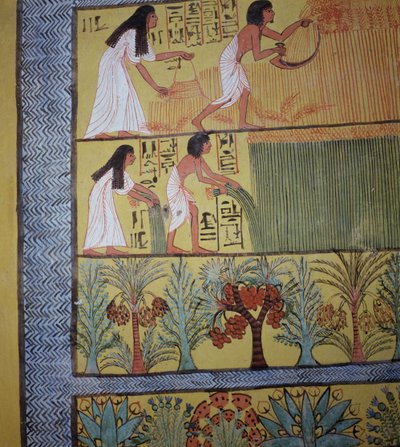 Detalle de una escena de cosecha en la Pared Este, de la Tumba de Sennedjem, La Aldea de los Trabajadores, Nuevo Reino de Egyptian 19th Dynasty