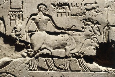 Egipto Antiguo bes, Luxor, Templo de Luxor, Patio de Ramsés II, relieve, Nuevo Reino, Dinastía XIX (1290-1224 a.C.) de Egyptian 19th Dynasty