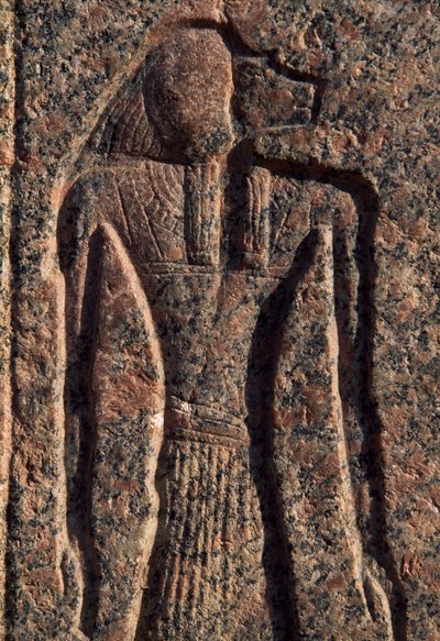 Inscripción y relieve de Anubis y otro dios, sarcófago de Amenhotep, Menfis (Lista del Patrimonio Mundial de la Unesco de Egyptian 19th Dynasty