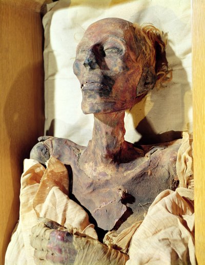 Cuerpo momificado de Ramsés II (1304-1237 a.C.) encontrado en una tumba en Deir al-Bahri de Egyptian 19th Dynasty