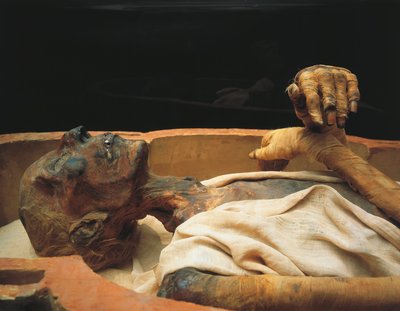 Momia de Ramsés II, detalle de Egyptian 19th Dynasty