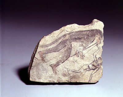 Ostracon con una figura de un mono tocando una flauta, Reino Nuevo (piedra caliza pintada) de Egyptian 19th Dynasty